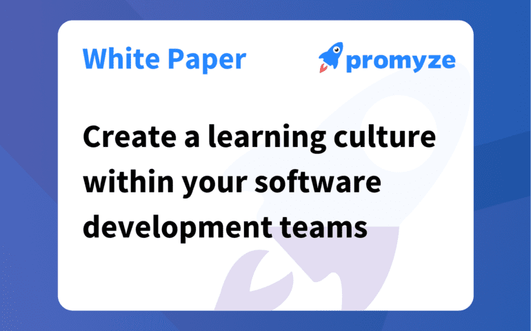 Learning Culture Software Developers